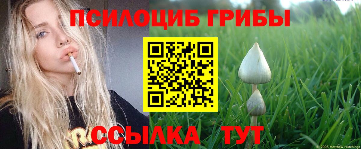 Галлюциногенные грибы GOLDEN TEACHER Топки
