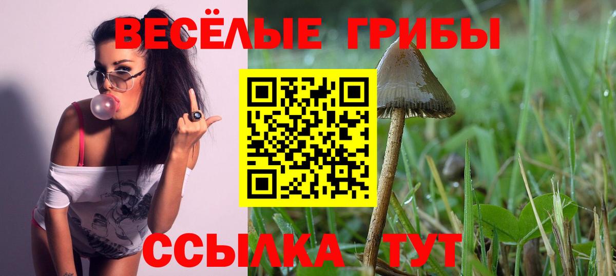 Галлюциногенные грибы мицелий  закладки  Топки  Вход с VPN 